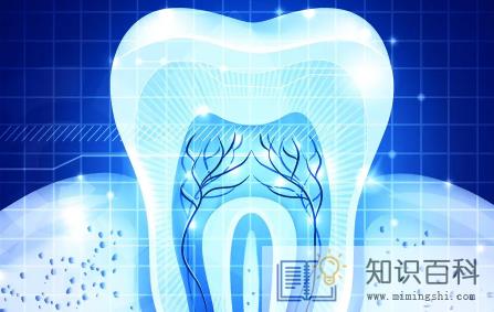 牙齿内壁掉了一块舔着难受还能长出来吗3