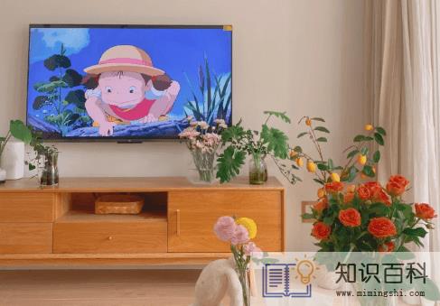 为什么新楼盘小户型很少1
