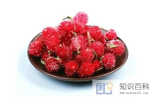红乃梅茶是寒性还是温性3