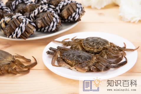螃蟹吃什么食物好养活和长大2