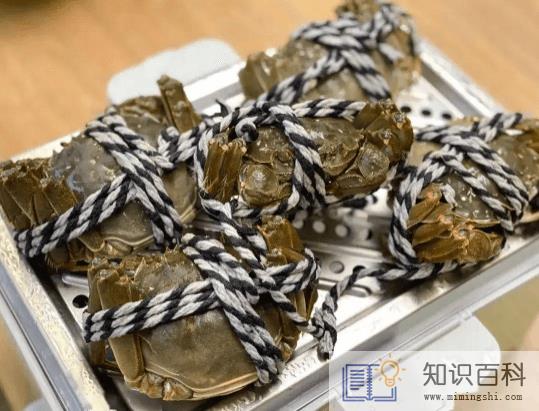 螃蟹吃什么食物好养活和长大4
