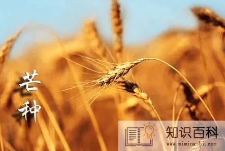​2022芒种后九天交运包括当天吗1