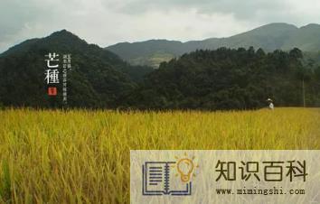 ​2022芒种后九天交运包括当天吗2