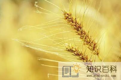 ​2022芒种后九天交运包括当天吗3