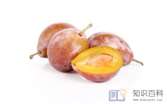 西梅放车里会不会闷坏1