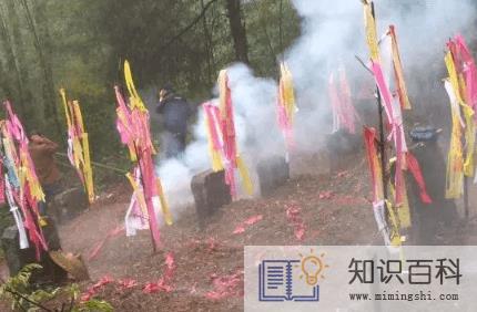 清明节挂青为什么颜色各异2