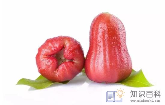 莲雾可以放行李箱托运吗1