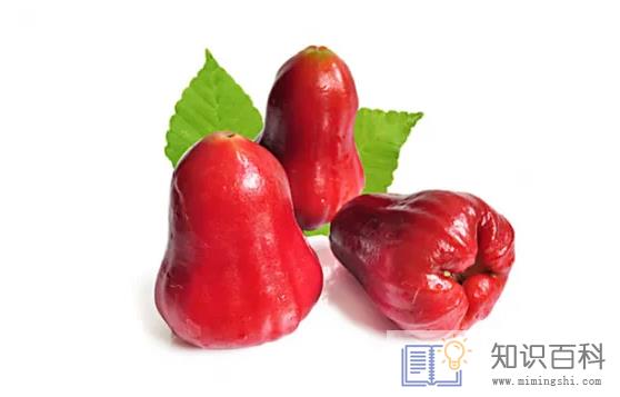 莲雾榨汁要削皮吗1