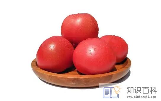 普罗旺斯西红柿和普通西红柿营养一样吗1