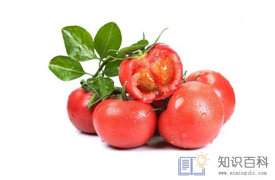 普罗旺斯西红柿和普通西红柿营养一样吗3