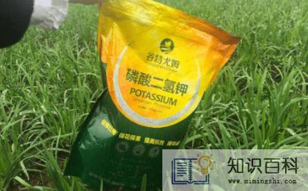 磷酸二氢钾可以混复合肥吗1