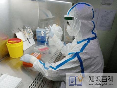 核酸检测48小时可以在网上查吗3