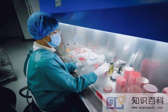 48小时核酸检测中途转站到期了怎么办1