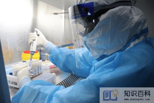 48小时核酸检测一天可以做完吗1