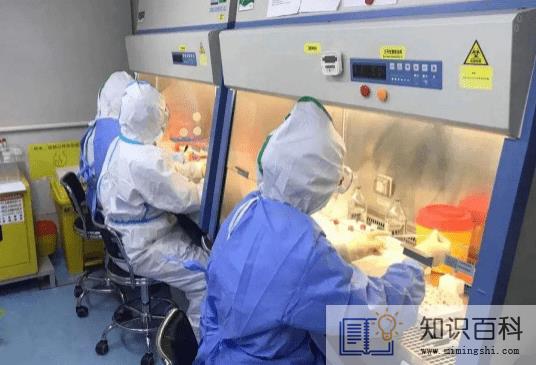 48小时核酸检测报告是纸质的还是电子的2