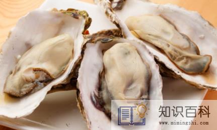 为什么蒸生蚝有很多水3
