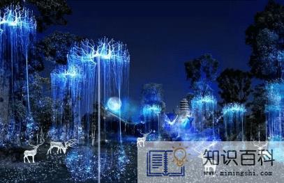 2022福州除夕哪里有灯光秀2