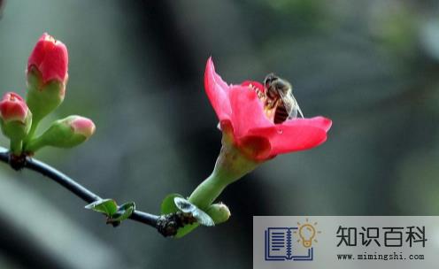 躲春的时候可以做针线活吗1