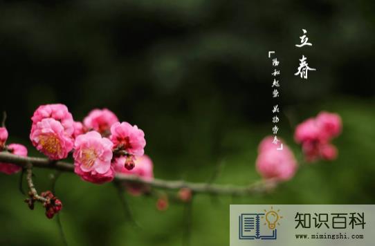 躲春的时候可以做针线活吗2