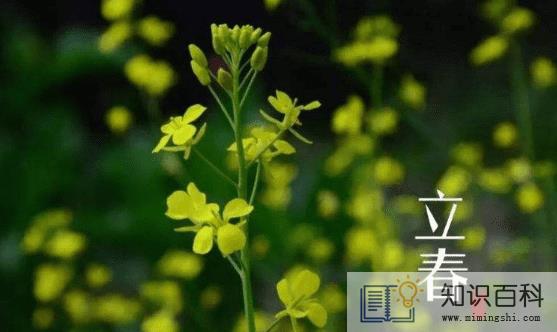 躲春的时候可以做针线活吗3