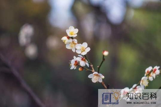 躲春可以织毛衣吗2