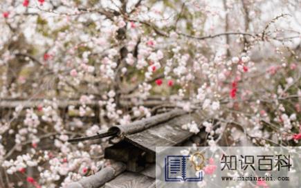 立春什么时候躲春20231