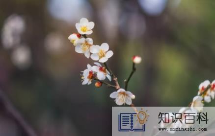 立春什么时候躲春20232