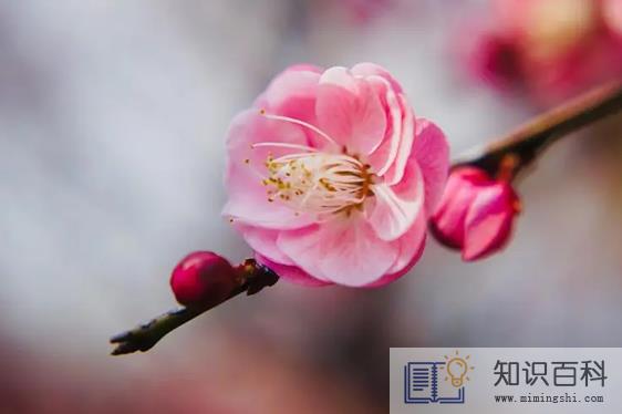 躲春可以健身做运动吗1