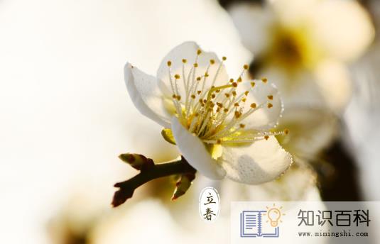 躲春亲人要避开吗2