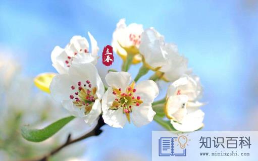 躲春男人不需要吗2