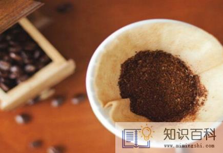 咖啡渣养花怎么用2