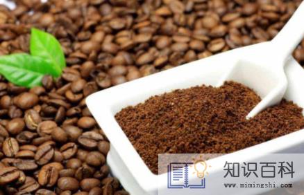 咖啡渣养花怎么用3