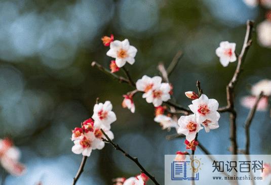 躲春一天都不能见阳光吗1