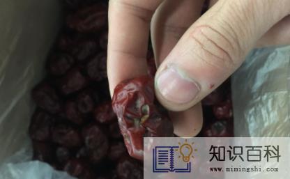 红枣发霉是什么样子2