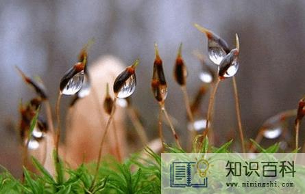 2022年2月4立春下雨好还是出太阳好1