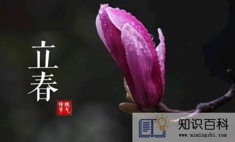 2022年2月4立春下雨好还是出太阳好2