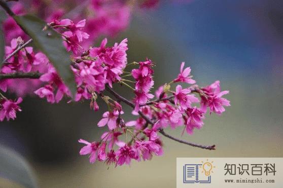 躲春一家人可以在一个房里吗2