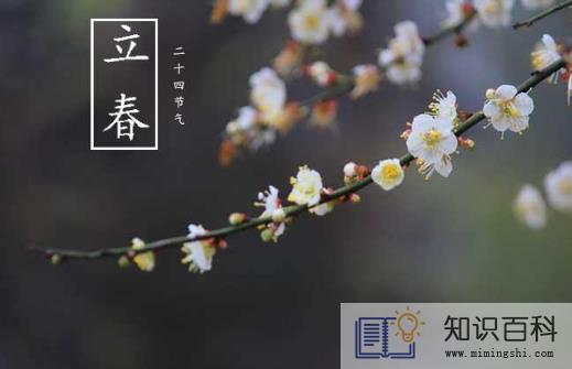 躲春一家人可以在一个房里吗3