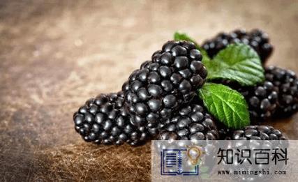 桑葚放两天还能吃吗1