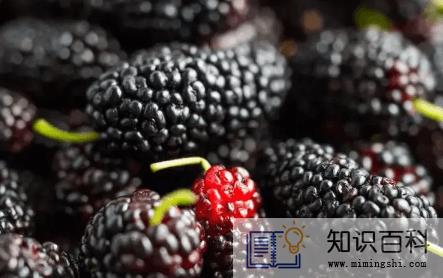 桑葚放两天还能吃吗3