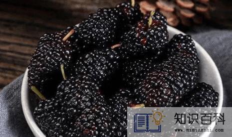 桑葚要用盐水洗吗2