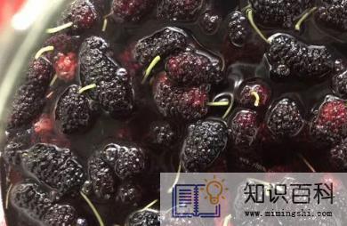 桑葚要用盐水洗吗3