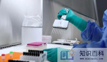 2022年四月去杭州需要做核酸检测吗3