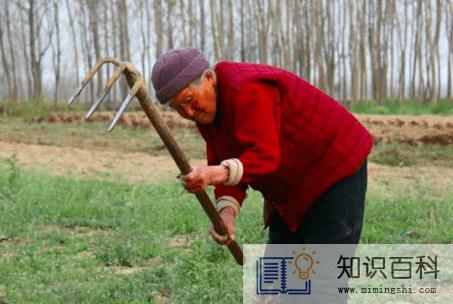 2022春分的时候农民种地了吗2