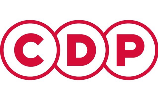 CDP集团